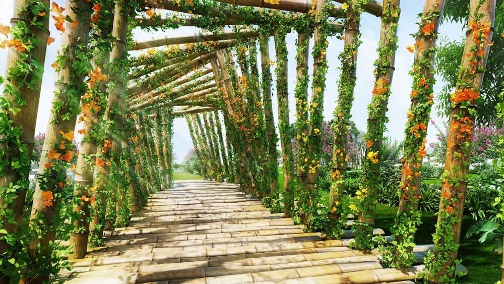 Đường dạo bộ ven biển